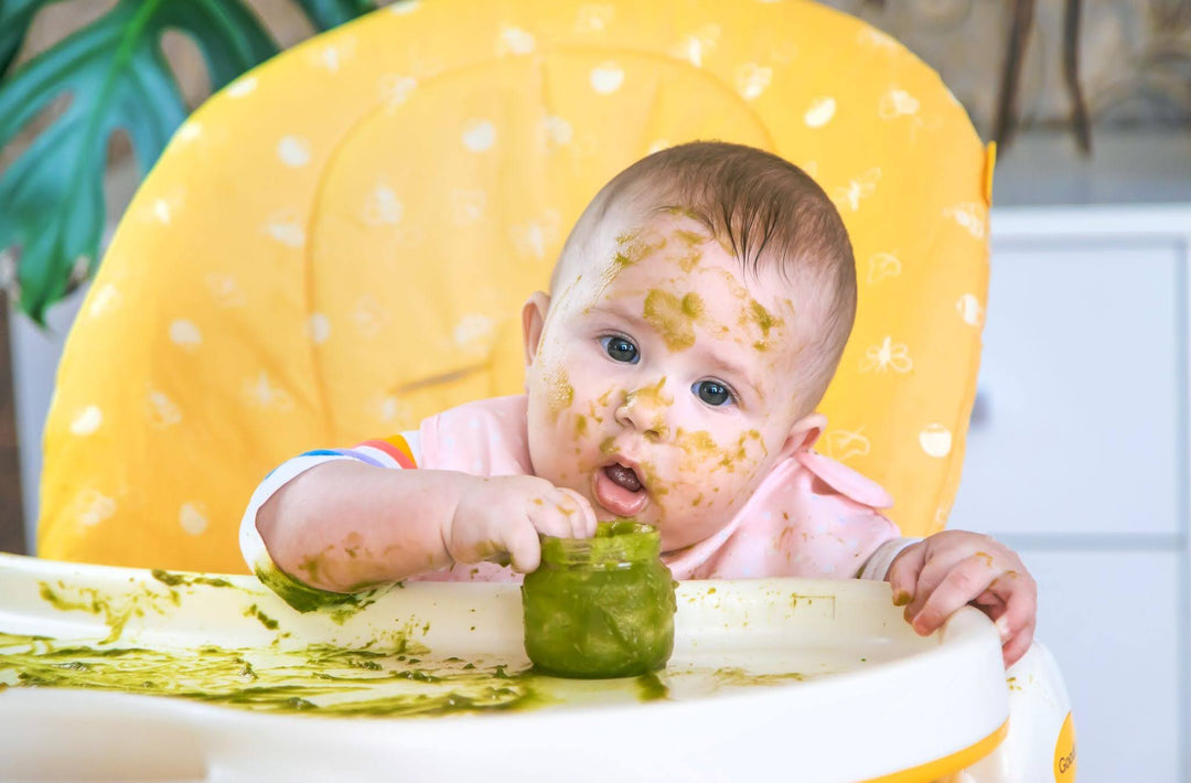 6 Freezer-Friendly BLW Recipes: Complete Baby Led Weaning Meal Prep Guide