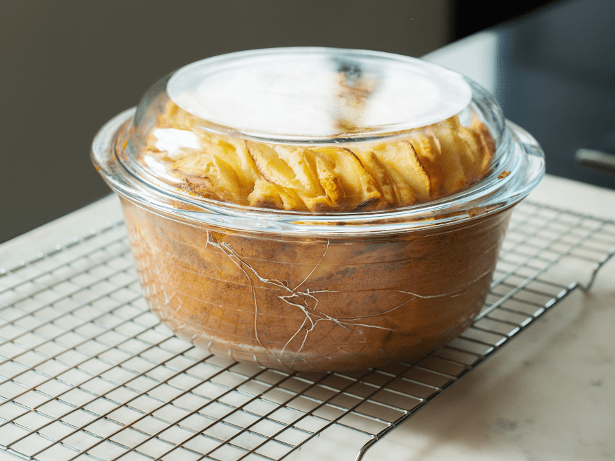 Can You Put Hot Food in a Glass Container? - Razab