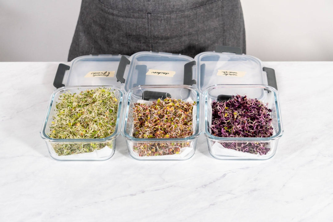 How Many Cups in 32 oz? The Exact Answer and Meal Prep Container Guide - Razab
