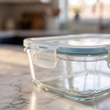 Set of 16 Pc Glass Food Storage Container - 16_SSGFood_Set